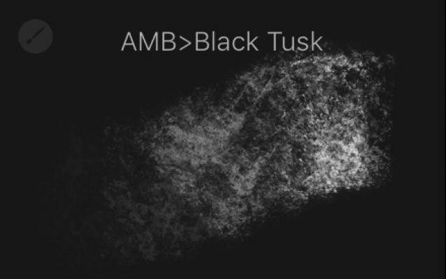 Black tusk free procreate brushes