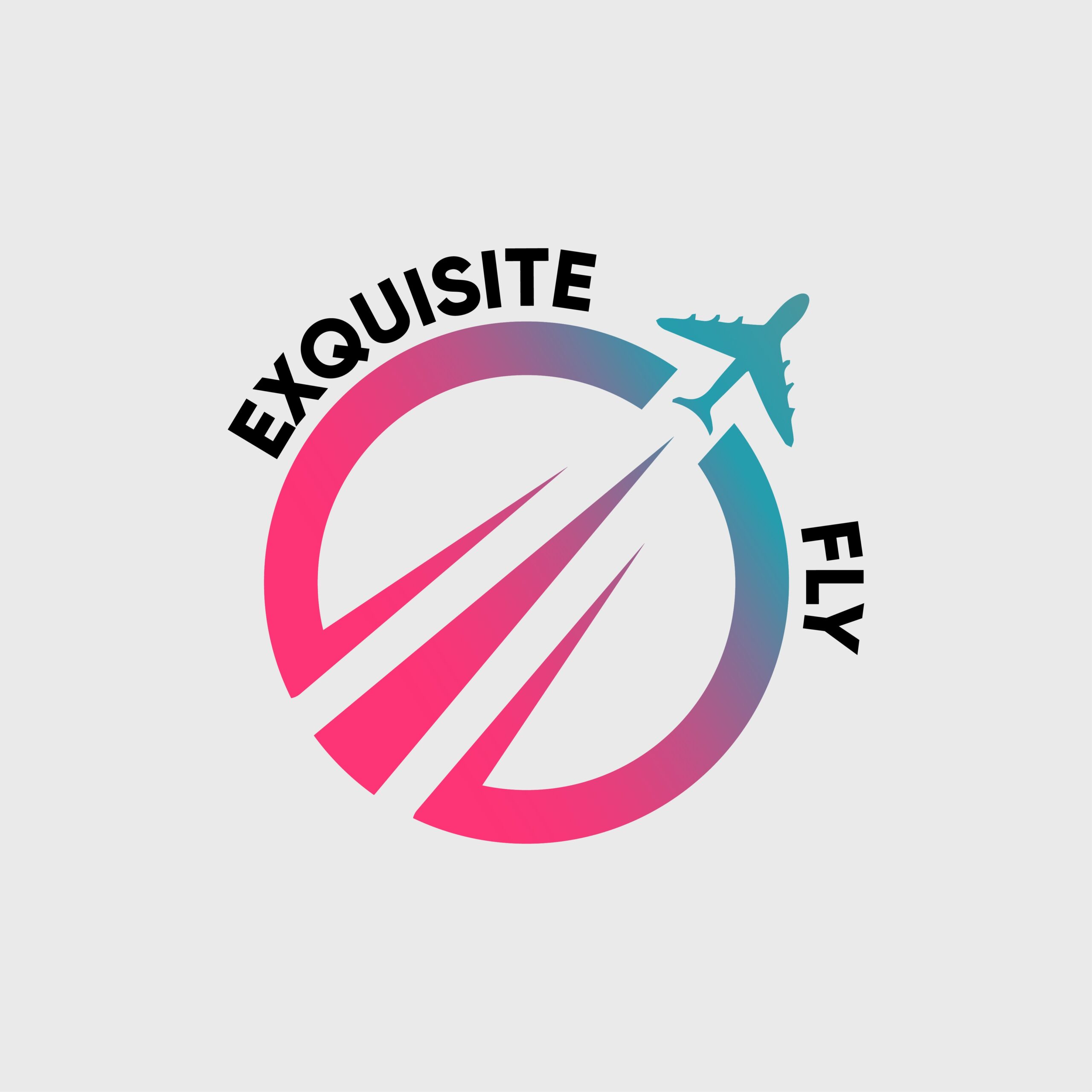 Exquisite Fly abstract logo example