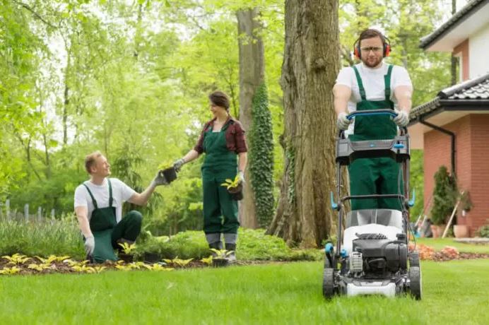 Landscaping company workers in garden