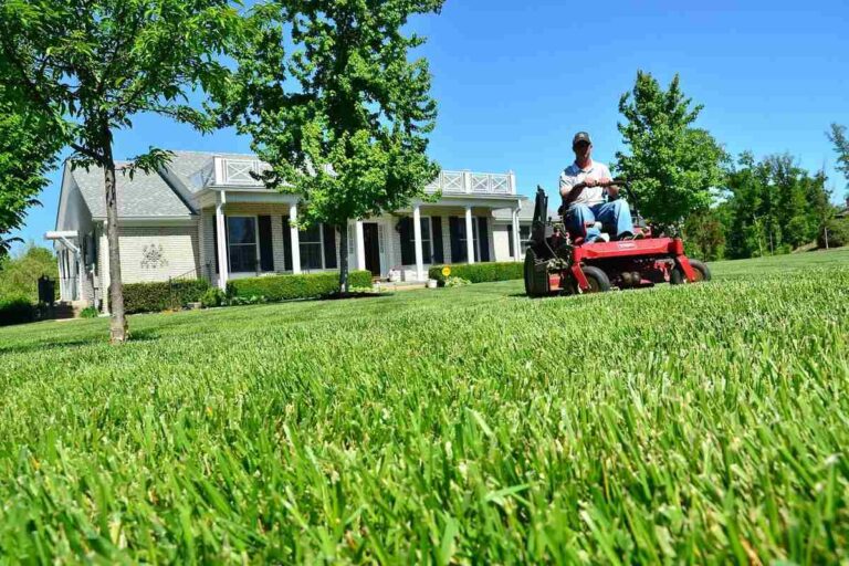 Lawn care grass mower
