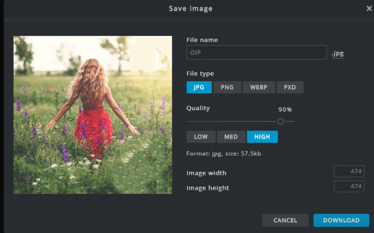 girl in flower field image opened in Pixlr