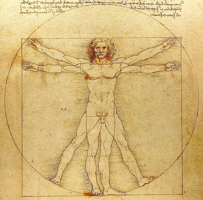 The Vitruvian Man by Leonardo da Vinci