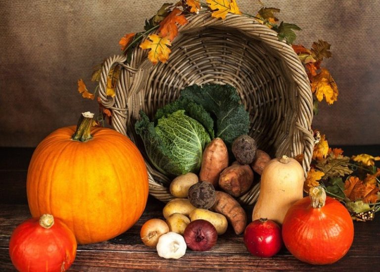 Thanksgiving fall imagery