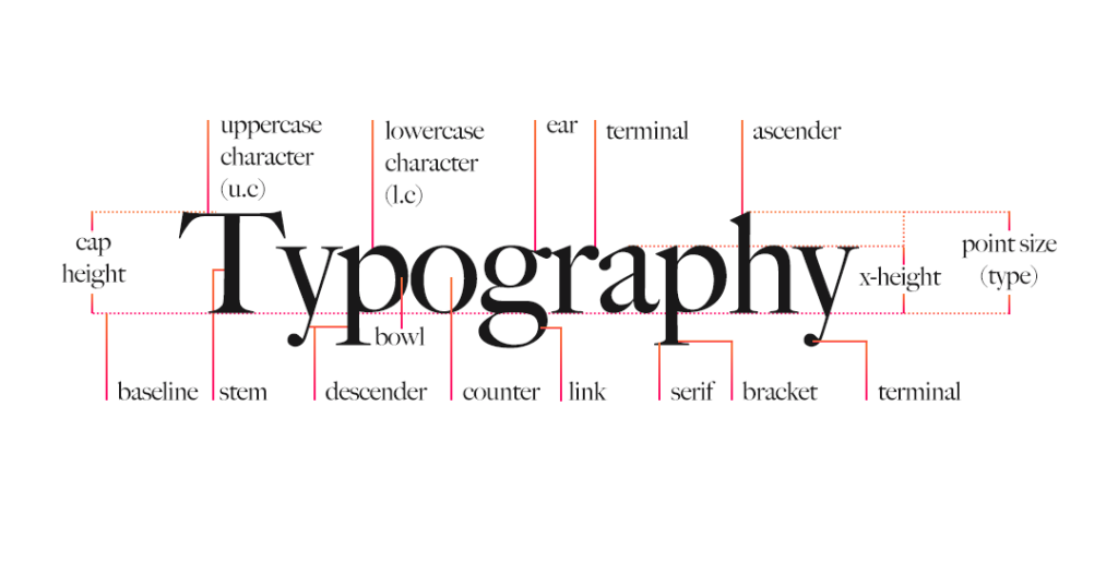 Typography