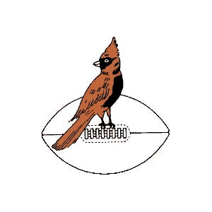 Arizona Cardinals Logo – Evolution of the NFL's Red Sea Symbol
