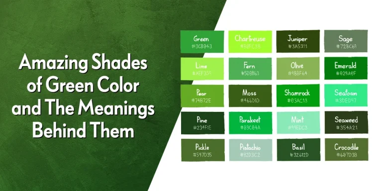 shades of green color