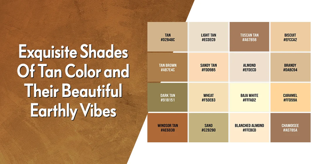 Exquisite Shades of Tan Color and Their Beautiful Earthly Vibes