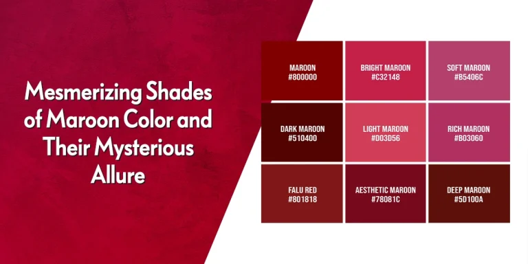 shades of maroon color
