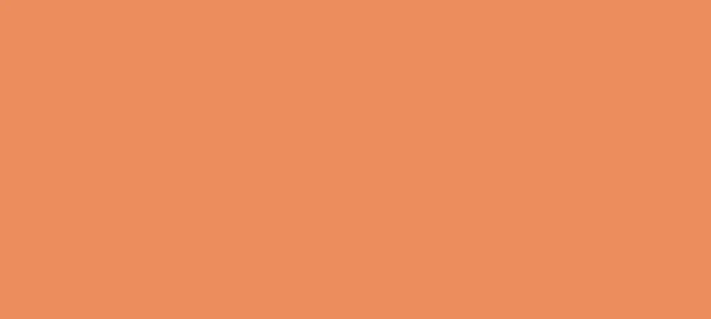 Salmon Meat