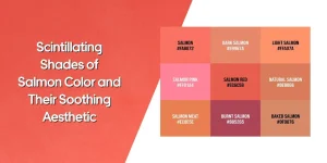 Shades of Salmon Color