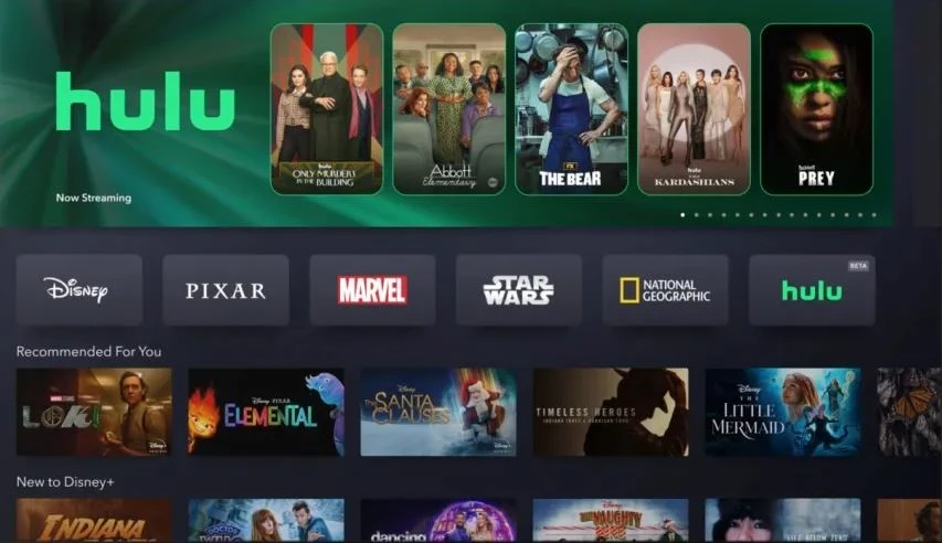 Hulu app